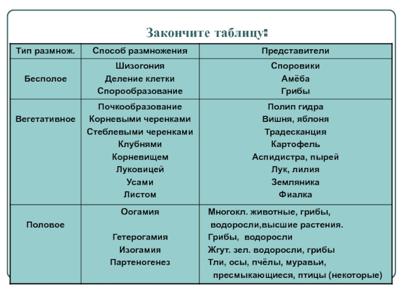 Кракен не работает сайт