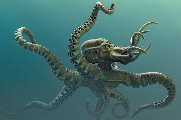 Kraken 6at