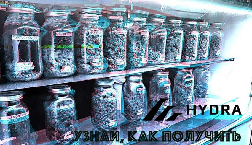 Kraken darknet зеркала